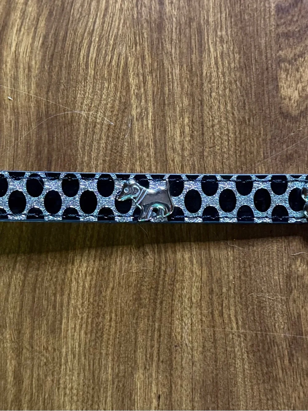 Glitter Dog Collar - Size Medium